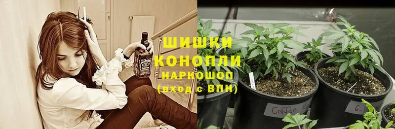 кракен вход  Губкинский  Конопля White Widow 